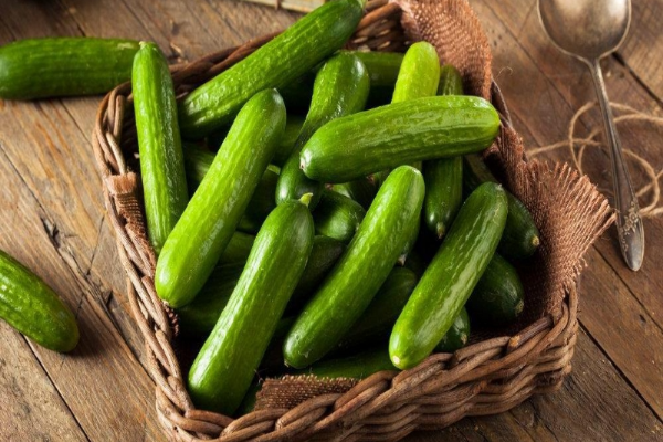 ÇENGELKÖY SALATALIK